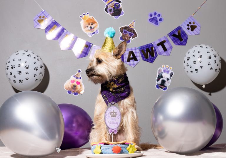 Happy BD Dog cake and balloons