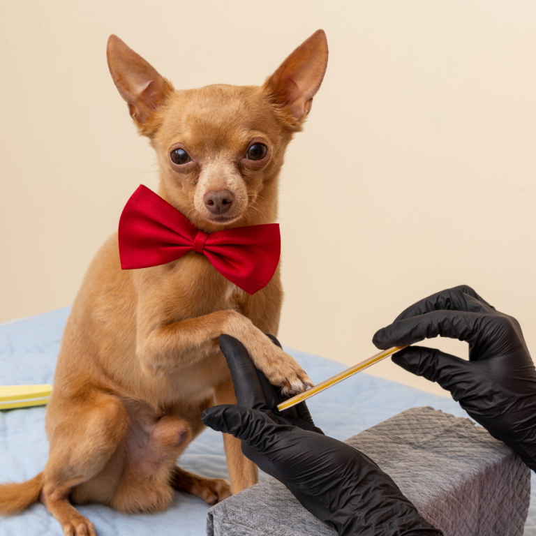 Chi pedicure